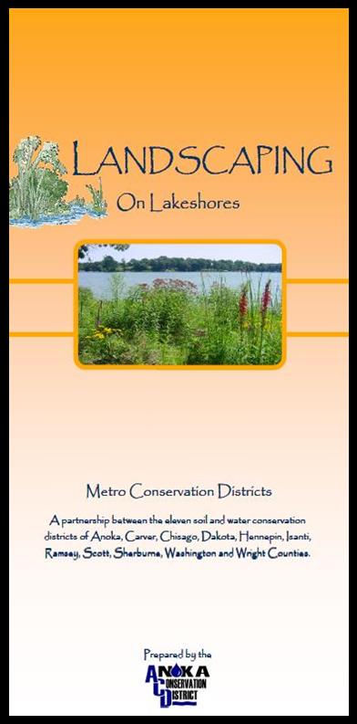 landscaping lakeshores