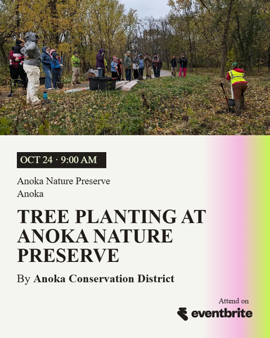 Tree Planting at Anoka Nature Preserve 1