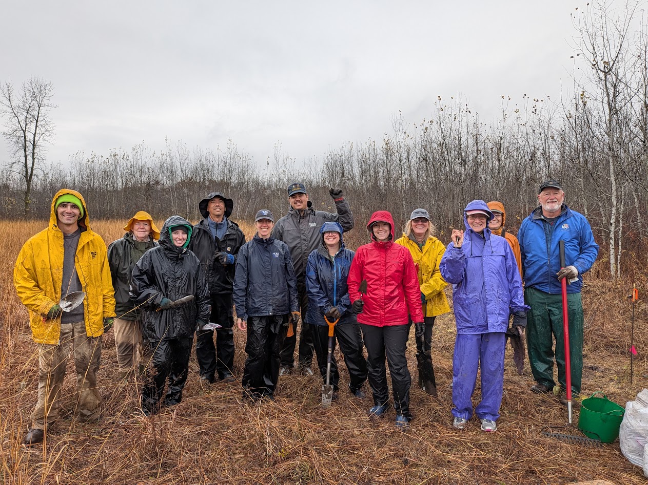 Violet Transplanting at Sherburne Nature Preserve