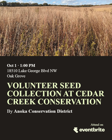 Volunteer Seed Collection at Cedar Creek Conservation Area 1
