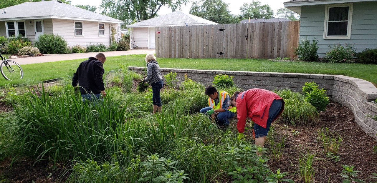 Rain Garden Maintenance for Everyone EasyBlog