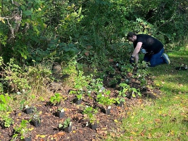 Photo: St. Francis Library manager Chayse Sundt