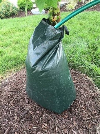 Photo: Tree watering bags slowly release water over 6-10 hours and can hold up to 20 gallons of water.